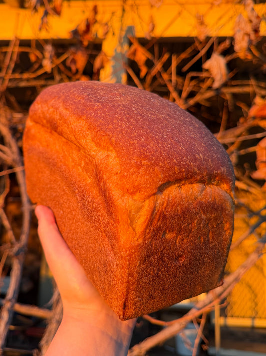 Sourdough Toast Loaf